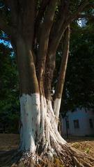 L1180240