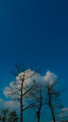 L1180302