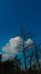 L1180303
