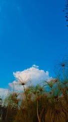 L1180313