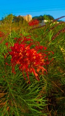 L1180323