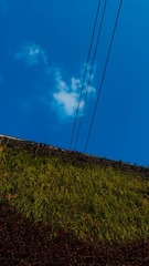 L1180335