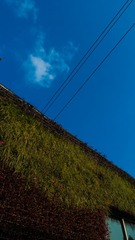 L1180336