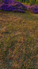 L1180344