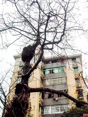 L1010748