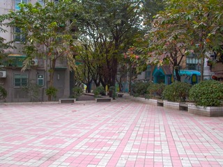 L1010765