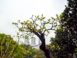 L1010802