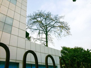 L1020249