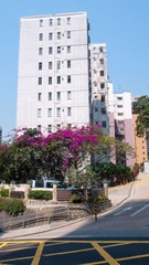 L1100236