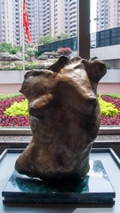 L1100264