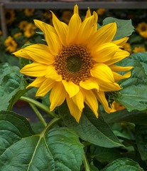 L1170065