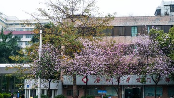 L1170144