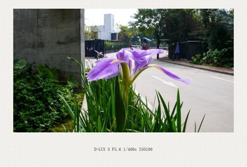 L1110088