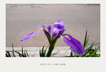 L1110089