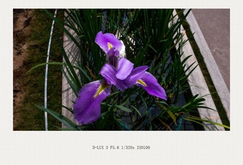 L1110097