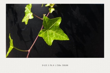 L1110101