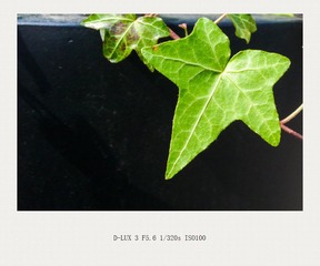 L1110102