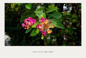 L1110104