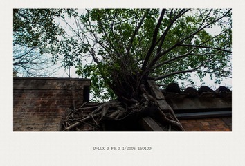 L1110114