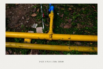 L1110125