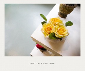 L1110139