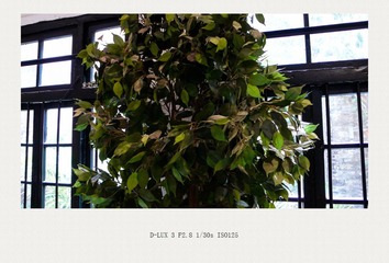 L1110159