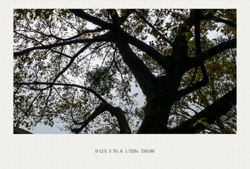 L1110236