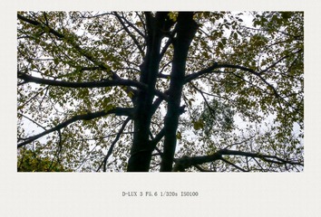 L1110237