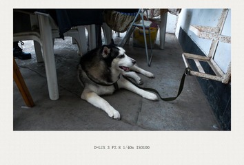 L1110240