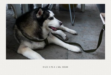 L1110241