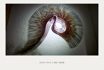 L1110258