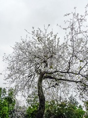 L1180665