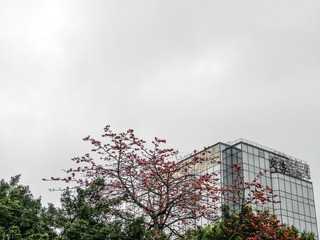 L1180673