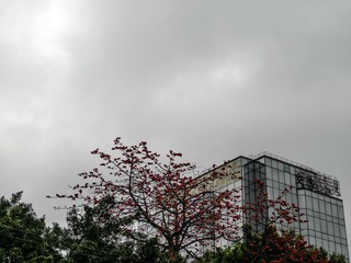 L1180673