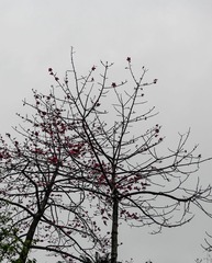 L1180682