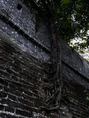 L1180692