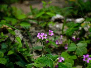 L1060769