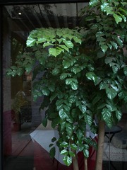 L1060790