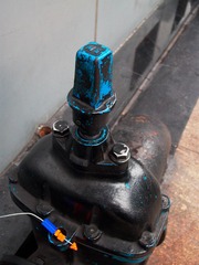 L1010874