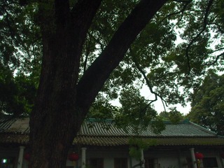 L1020018