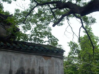 L1020019