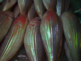 L1020048