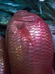 L1020051