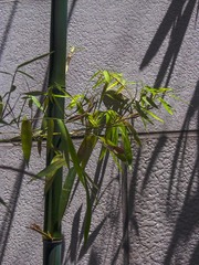 L1020090