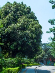 L1020097
