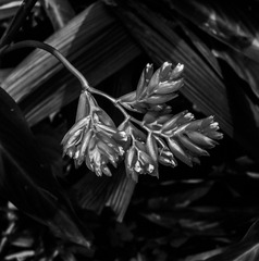 L1020104