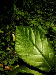 L1020107
