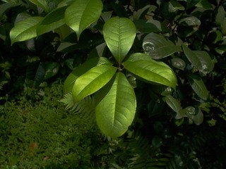 L1020108
