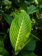 L1020110