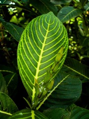 L1020111